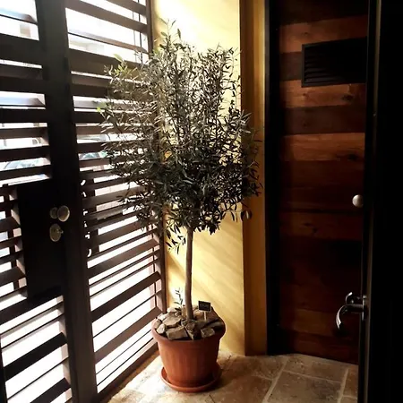 Nuovissimo Lungomare *